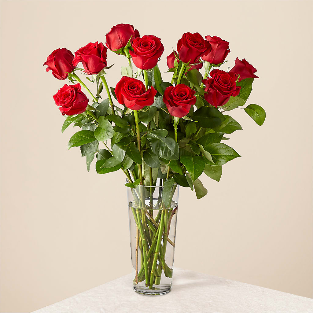 Long Stem Red Rose Bouquet – A Touch Of Gracious Living, Salem OH
