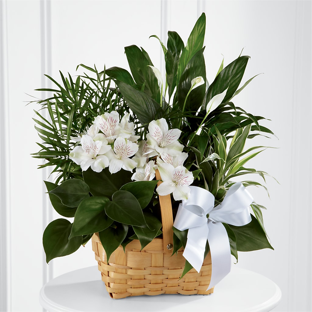 Peace & Serenity Dishgarden – A Touch Of Gracious Living, Salem OH