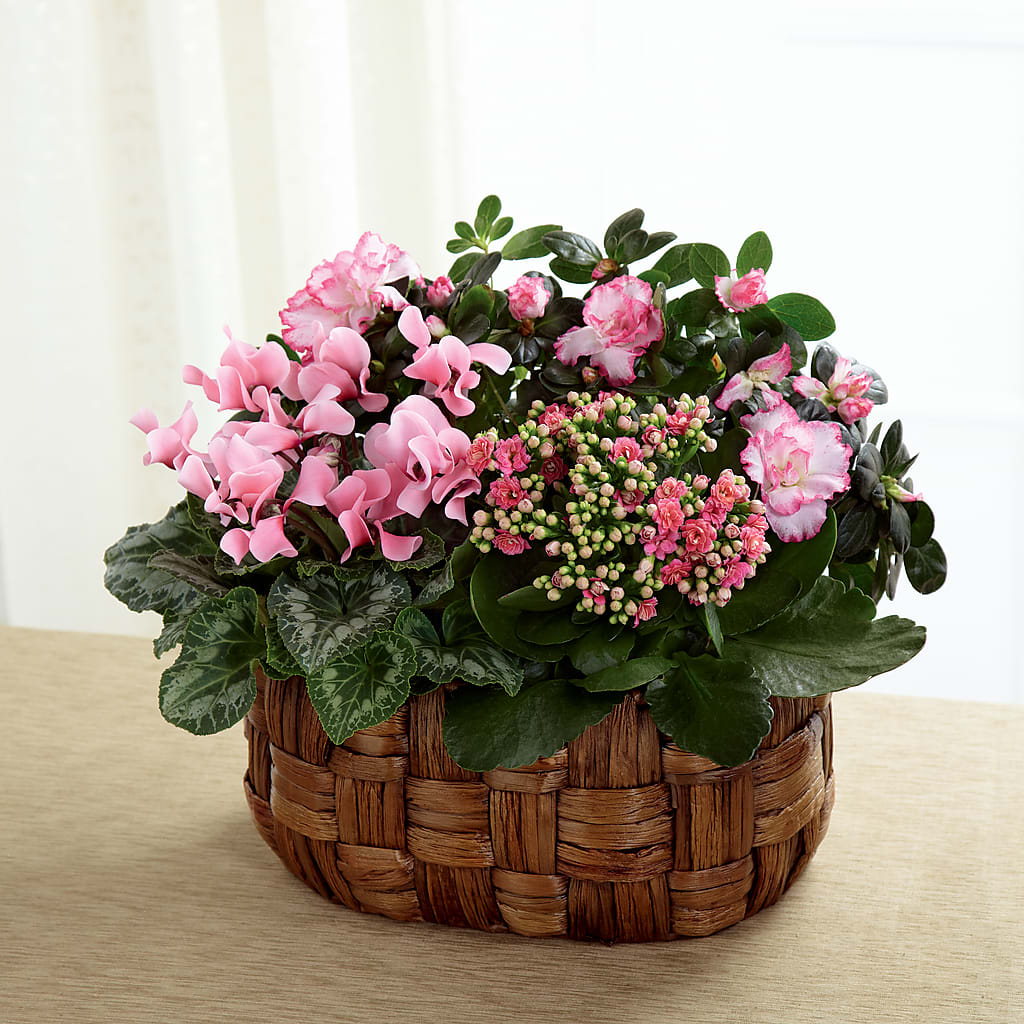 Pink Assortment – A Touch Of Gracious Living, Salem OH