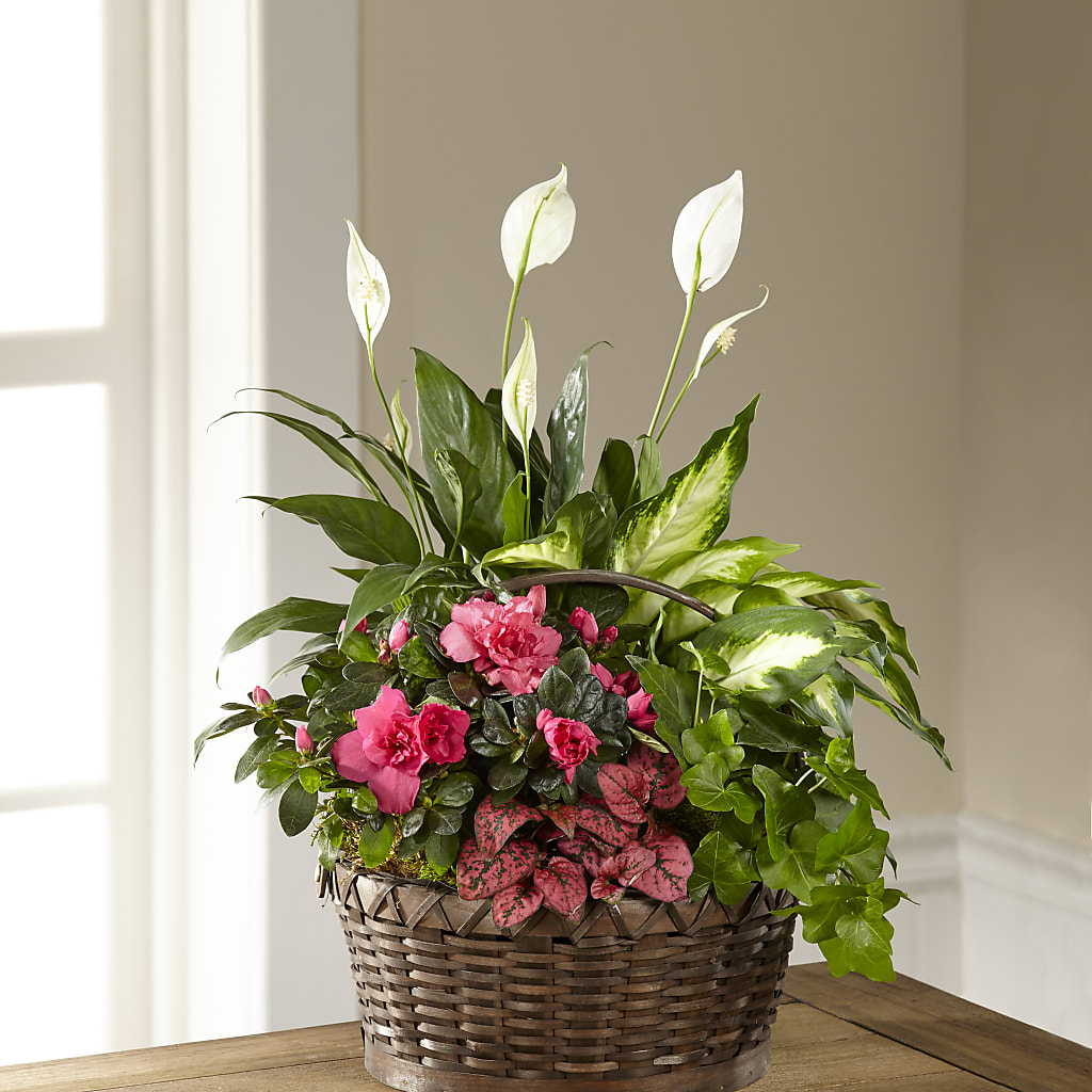 Dream in Pink Dishgarden – A Touch Of Gracious Living, Salem OH