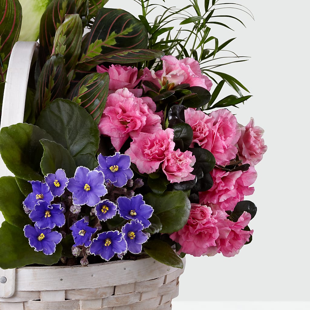 Peaceful Garden Planter – A Touch Of Gracious Living, Salem OH