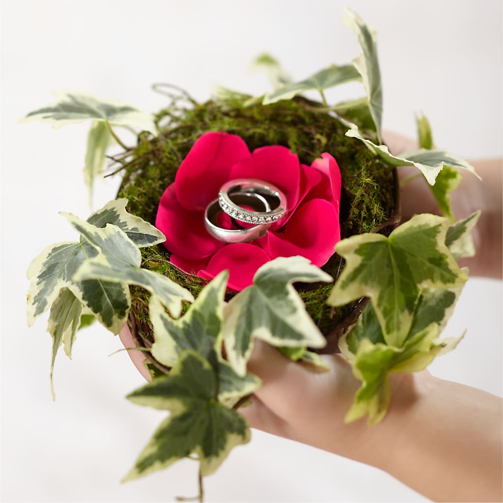 Lila Rose Ring Nest – A Touch Of Gracious Living, Salem OH
