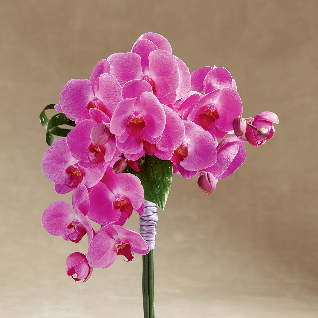 Glorious Bouquet – A Touch Of Gracious Living, Salem OH