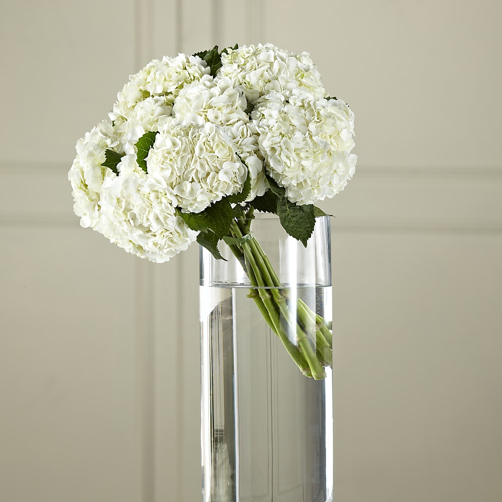 White Hydrangea Hand-Tied Bouquet – A Touch Of Gracious Living, Salem OH
