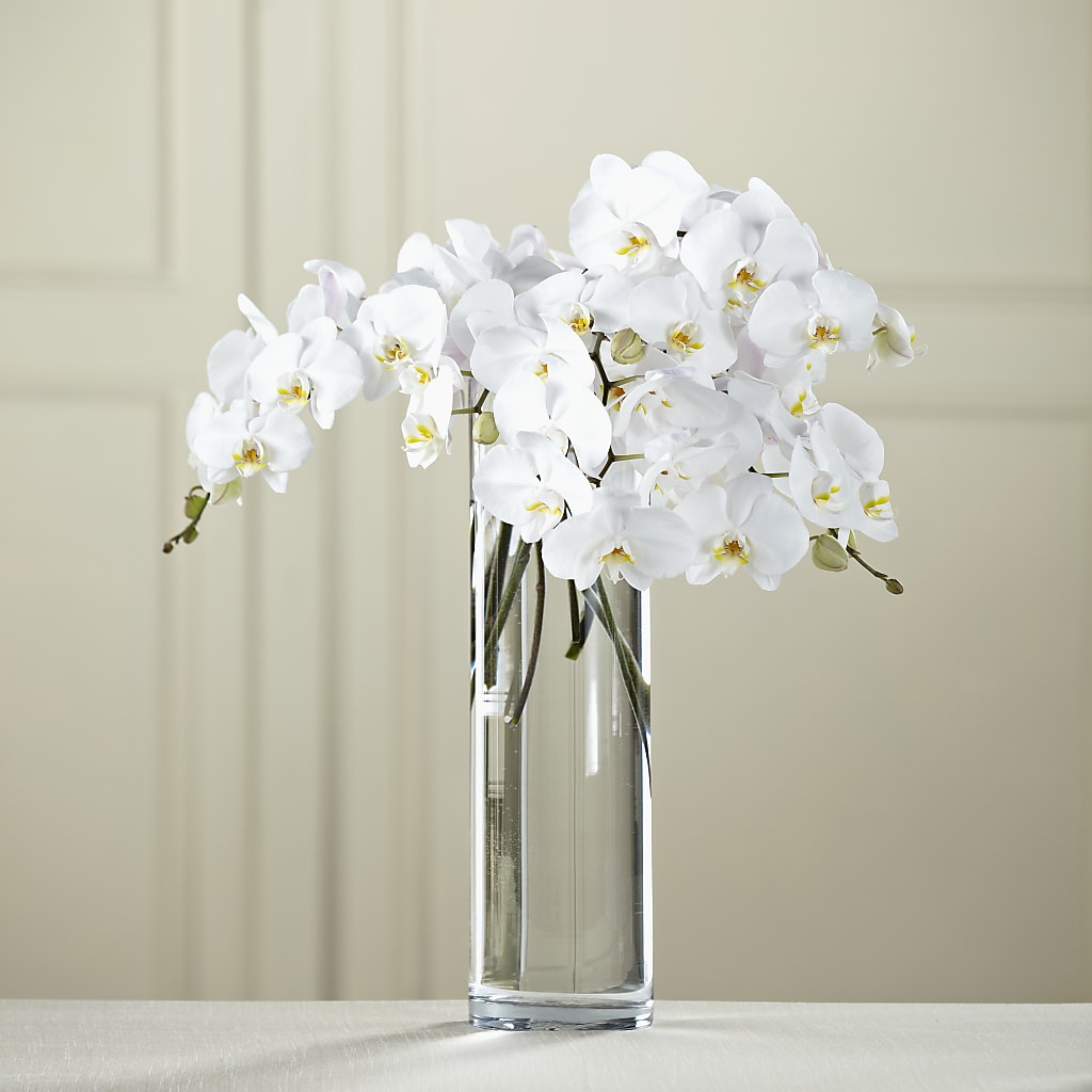 White Phalaenopsis Bouquet – A Touch Of Gracious Living, Salem OH