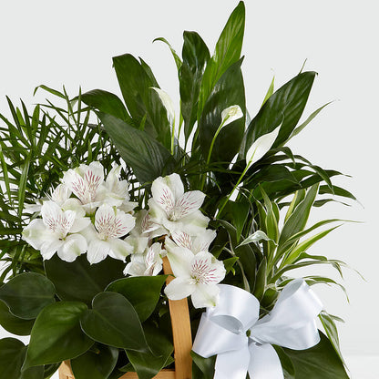 Peace & Serenity Dishgarden –  A Touch Of Gracious Living, Salem OH