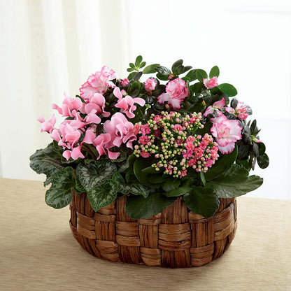 Pink Assortment –  A Touch Of Gracious Living, Salem OH