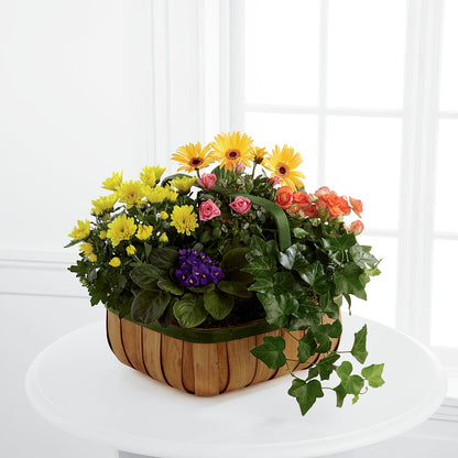 Gentle Blossoms Basket –  A Touch Of Gracious Living, Salem OH