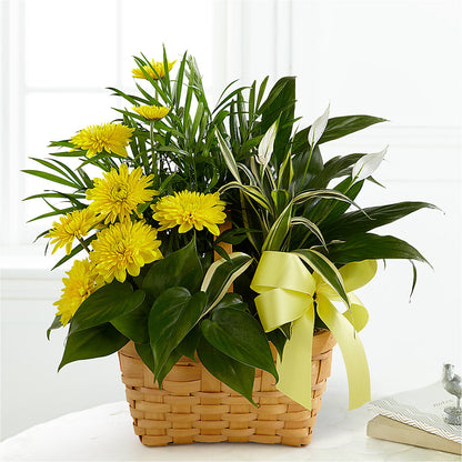 Loving Light Dishgarden –  A Touch Of Gracious Living, Salem OH