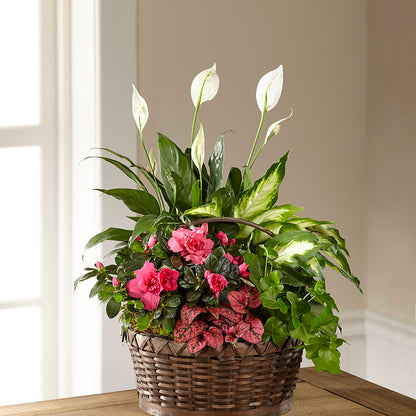 Dream in Pink Dishgarden –  A Touch Of Gracious Living, Salem OH