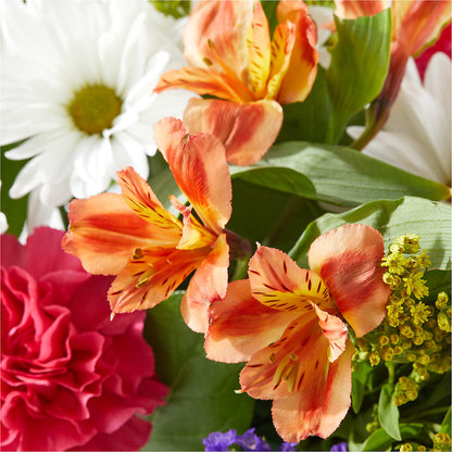 Oopsie Daisy Box Bouquet –  A Touch Of Gracious Living, Salem OH