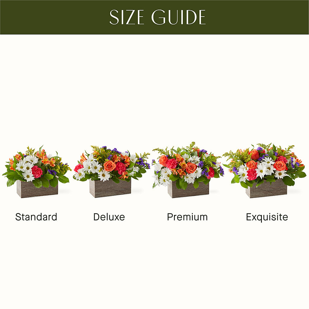 Oopsie Daisy Box Bouquet –  A Touch Of Gracious Living, Salem OH