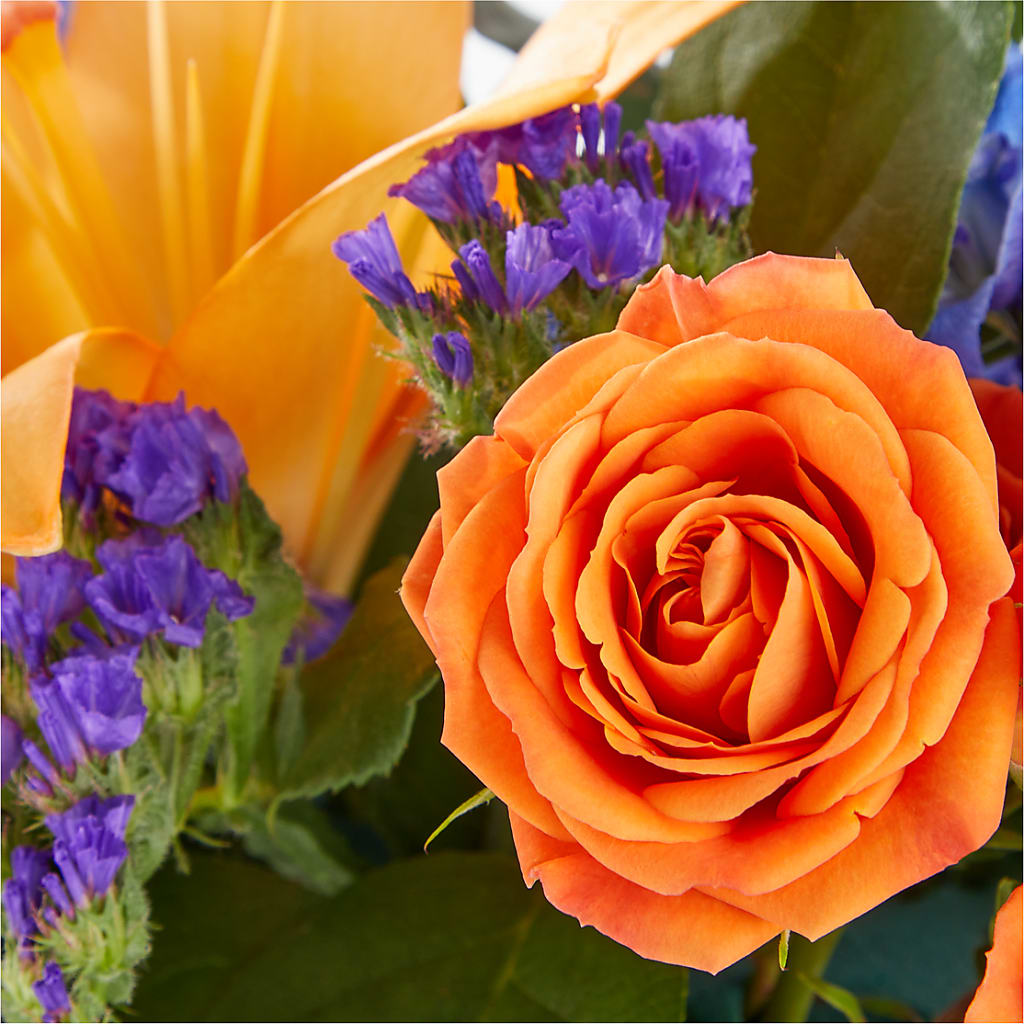 Radiant Citrus Box Bouquet –  A Touch Of Gracious Living, Salem OH