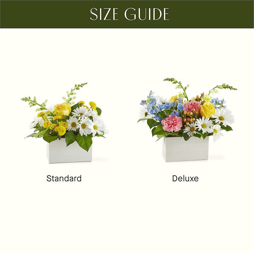 Sun Salutation Box Bouquet –  A Touch Of Gracious Living, Salem OH