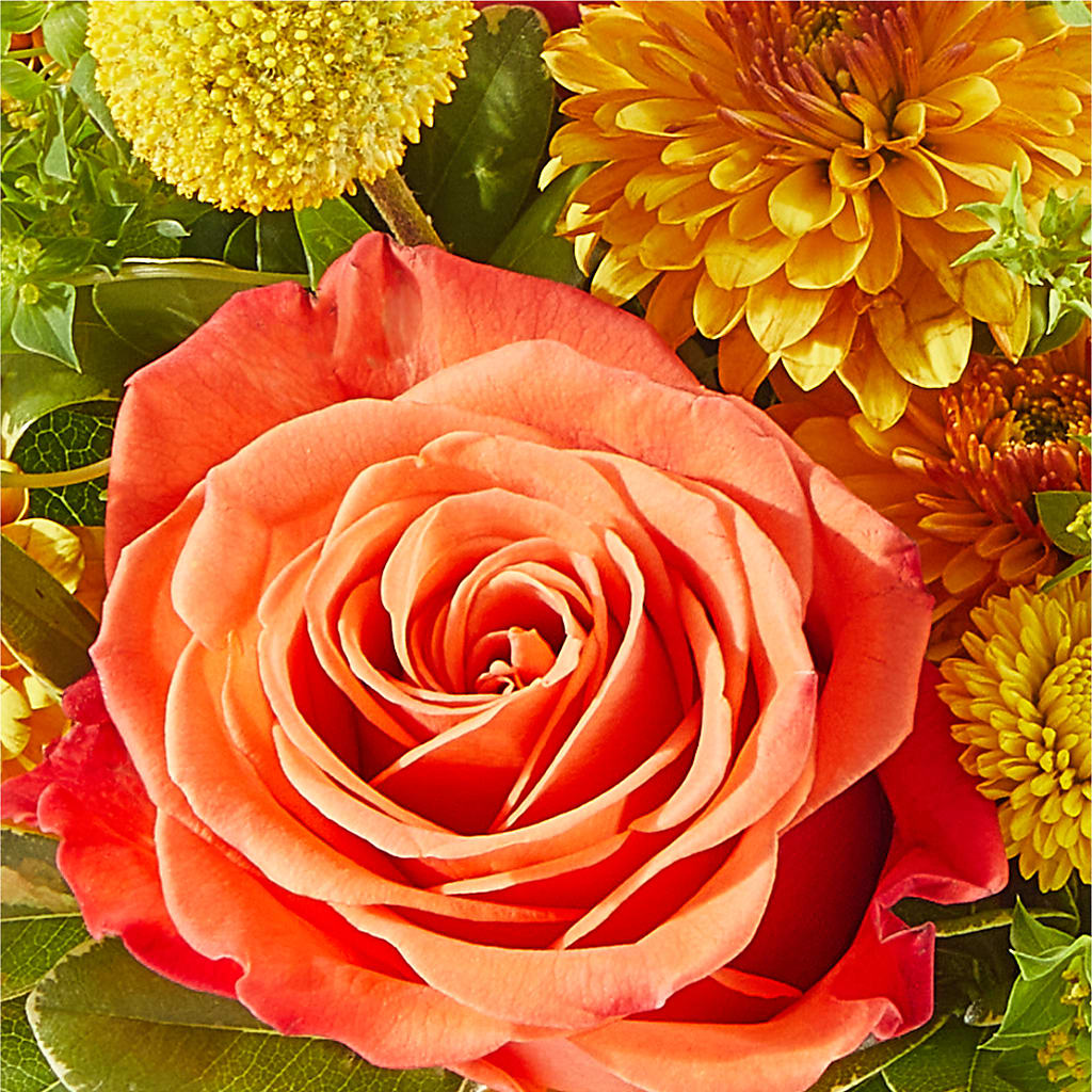 Gourdgeous Pumpkin –  A Touch Of Gracious Living, Salem OH
