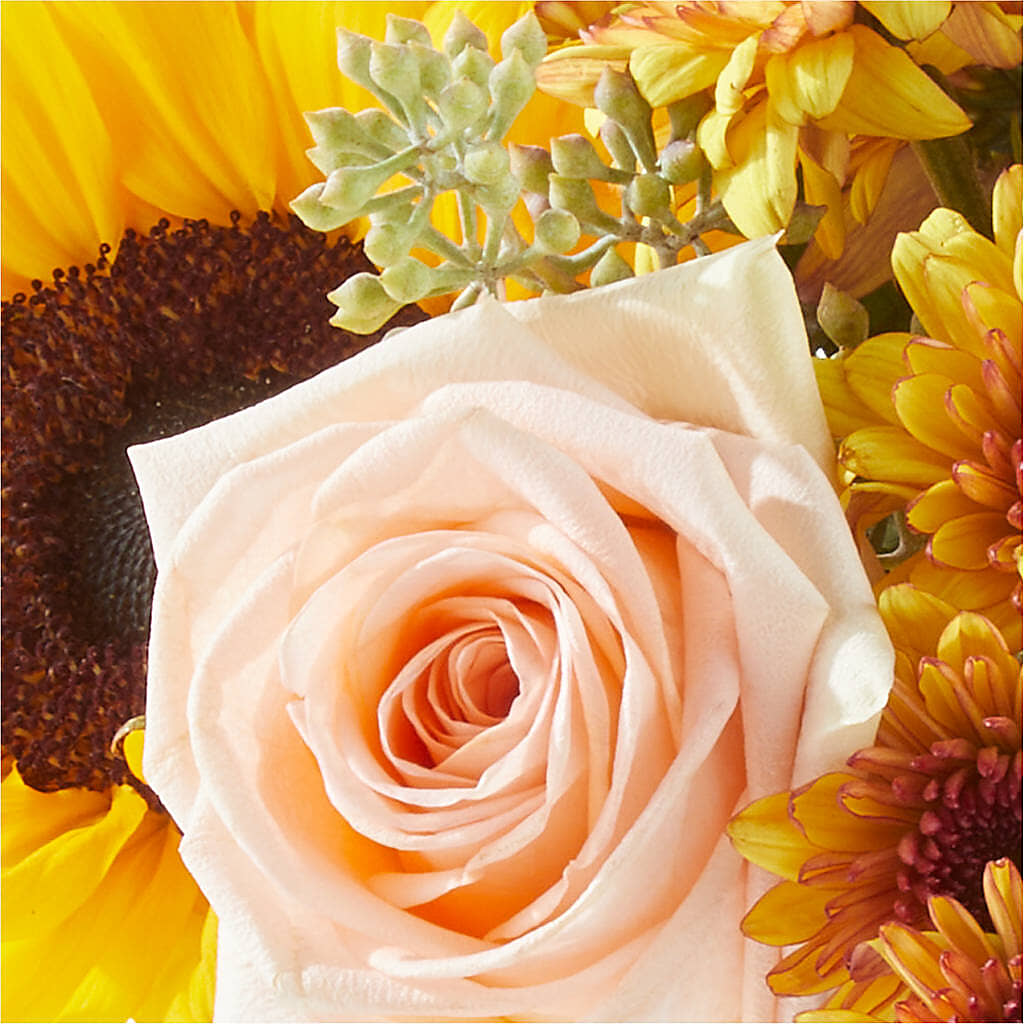 Pumpkin to Talk About Bouquet –  A Touch Of Gracious Living, Salem OH