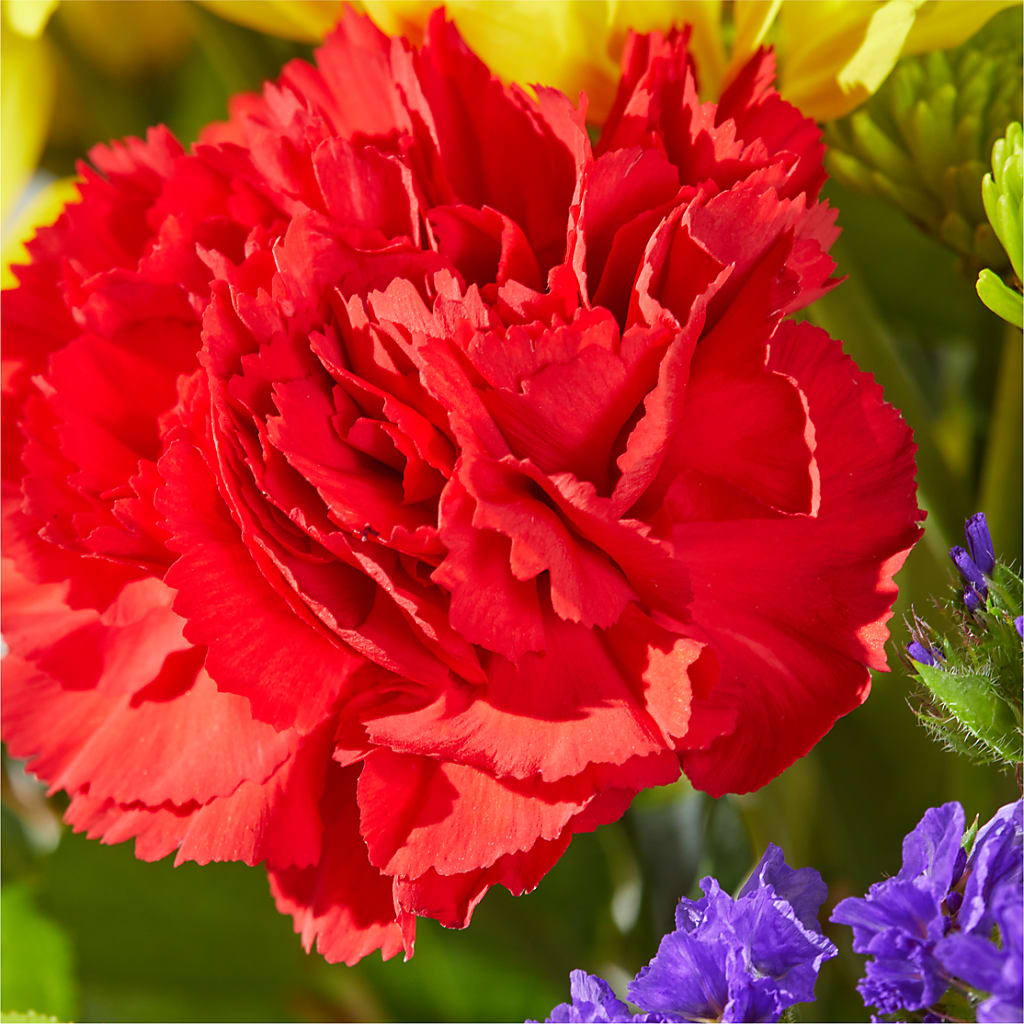 Brighter Days Bouquet –  A Touch Of Gracious Living, Salem OH