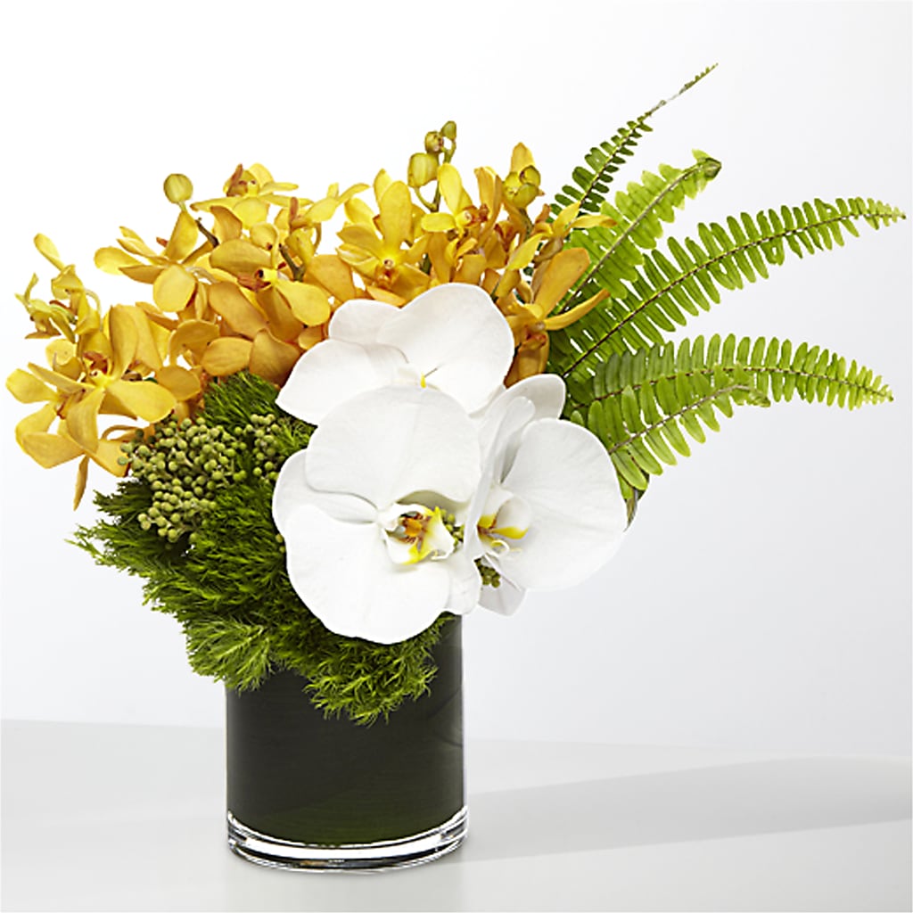 The Tropics –  A Touch Of Gracious Living, Salem OH