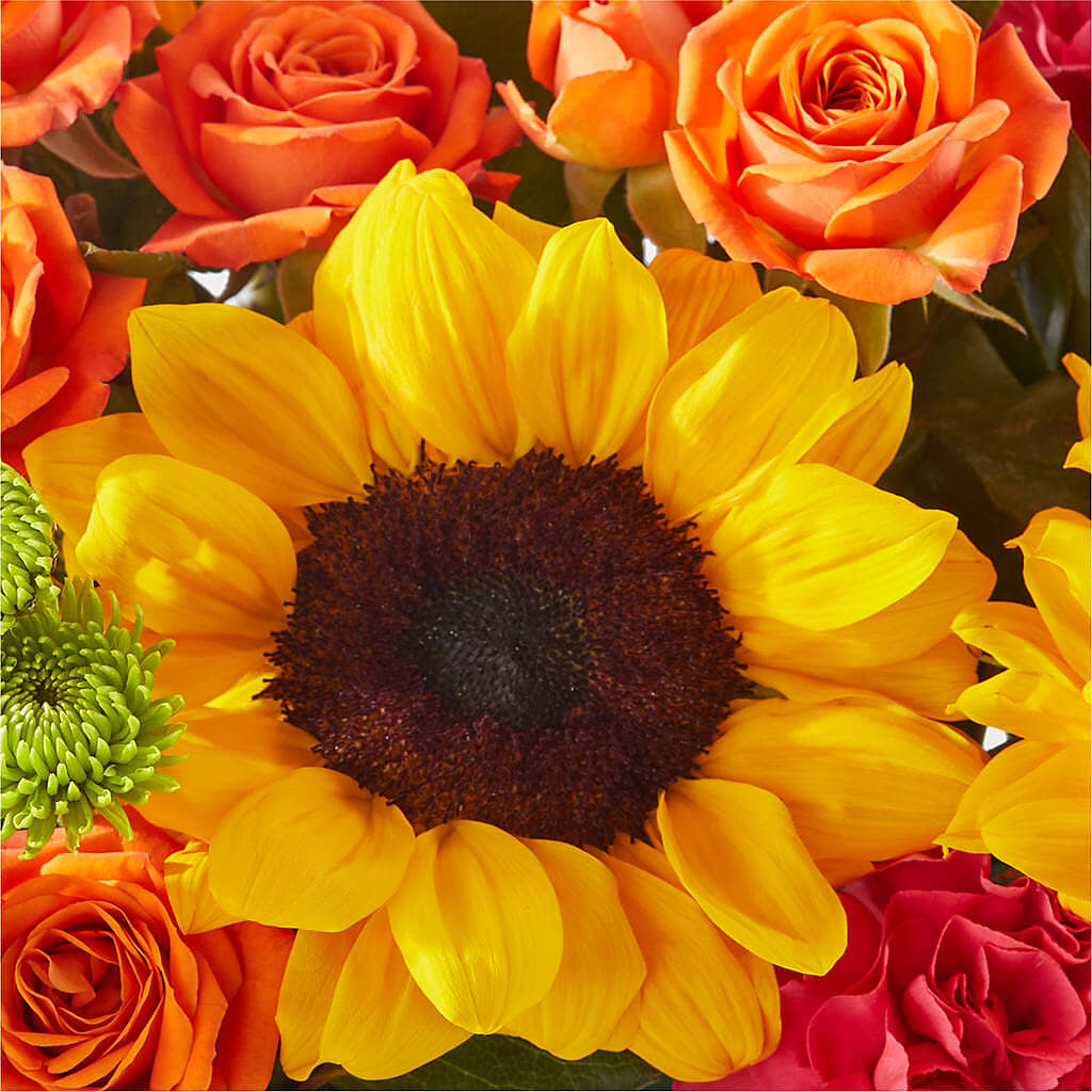 Sun-drenched Blooms Box Bouquet –  A Touch Of Gracious Living, Salem OH
