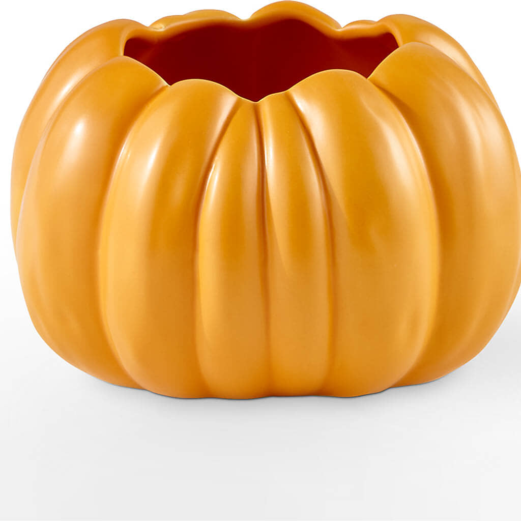 Golden Gourd Pumpkin Bouquet –  A Touch Of Gracious Living, Salem OH