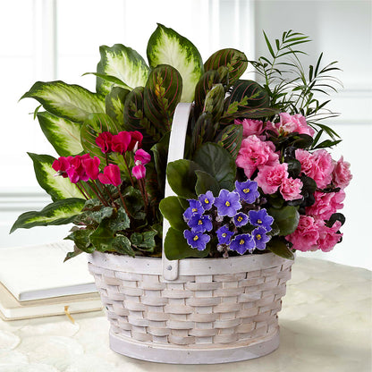 Peaceful Garden Planter –  A Touch Of Gracious Living, Salem OH