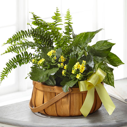 Always Dear Dishgarden –  A Touch Of Gracious Living, Salem OH