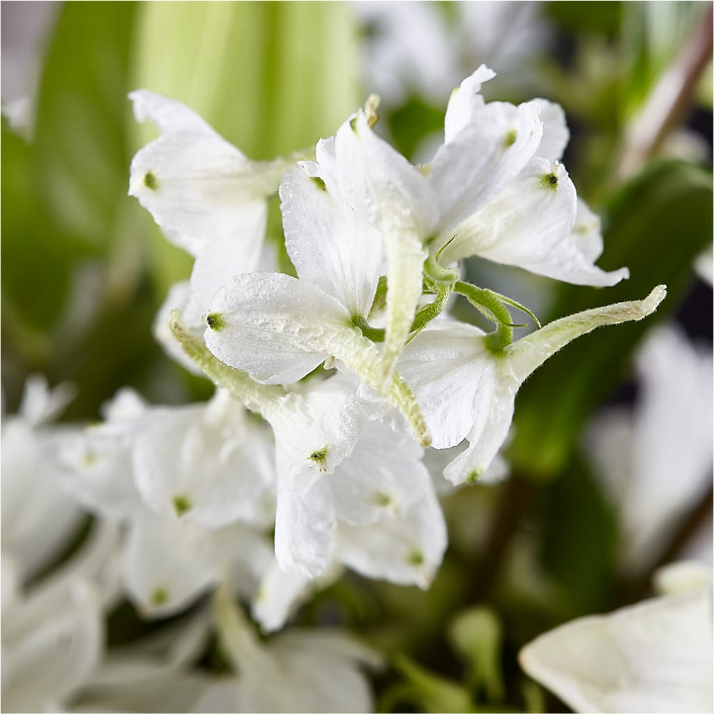 Classic Ivory – A Florist Original –  A Touch Of Gracious Living, Salem OH