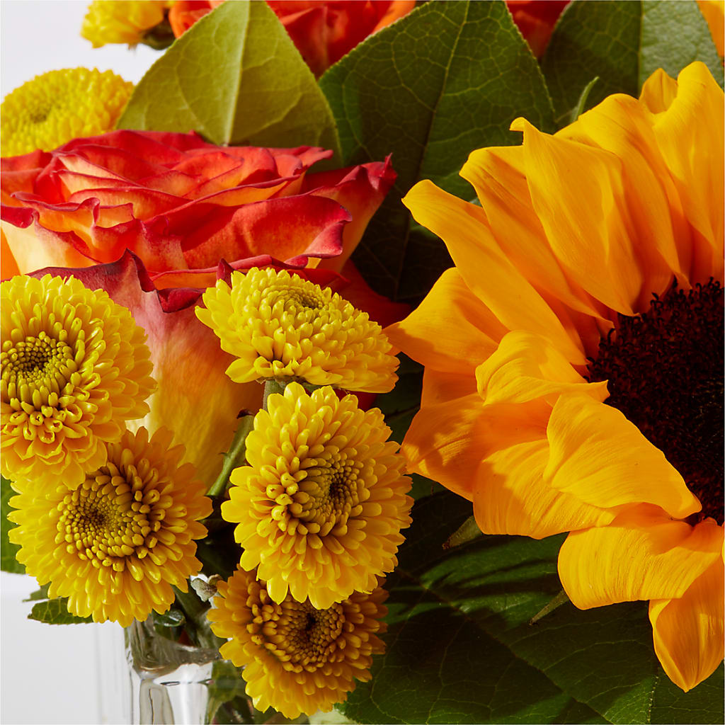 Picnic in the Park Bouquet –  A Touch Of Gracious Living, Salem OH