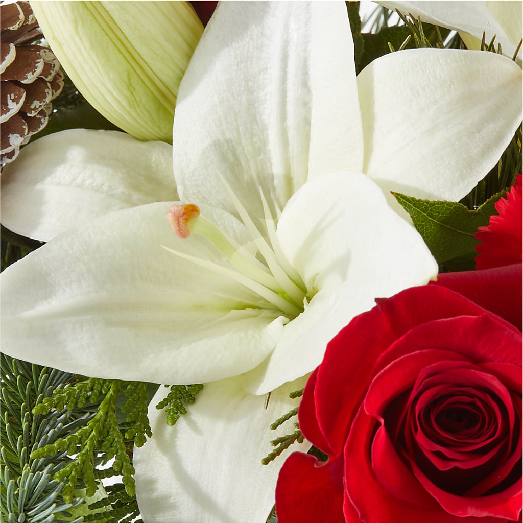 Oh So Jolly Bouquet –  A Touch Of Gracious Living, Salem OH