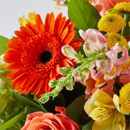 Autumn Sunshine Bouquet –  A Touch Of Gracious Living, Salem OH