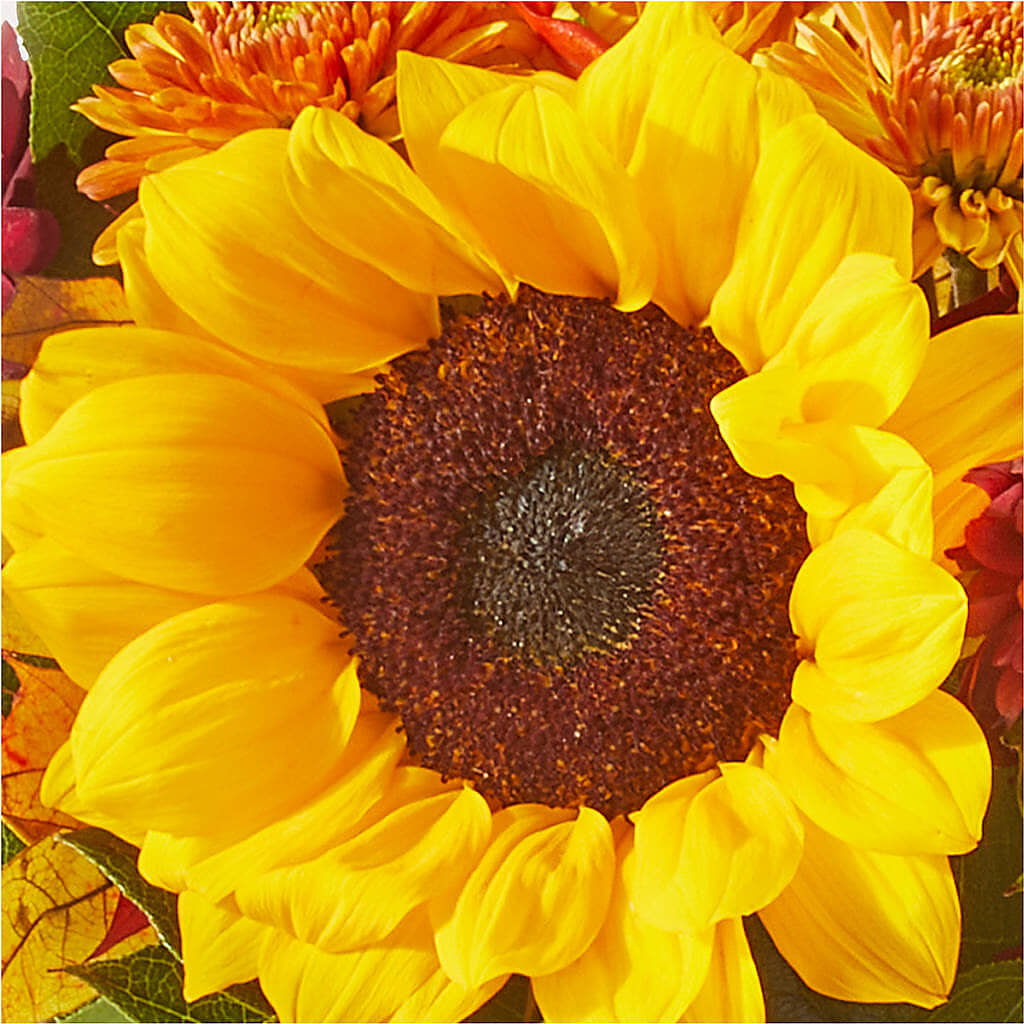 Sunny Side Bouquet –  A Touch Of Gracious Living, Salem OH