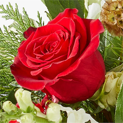 Deck the Halls Bouquet –  A Touch Of Gracious Living, Salem OH