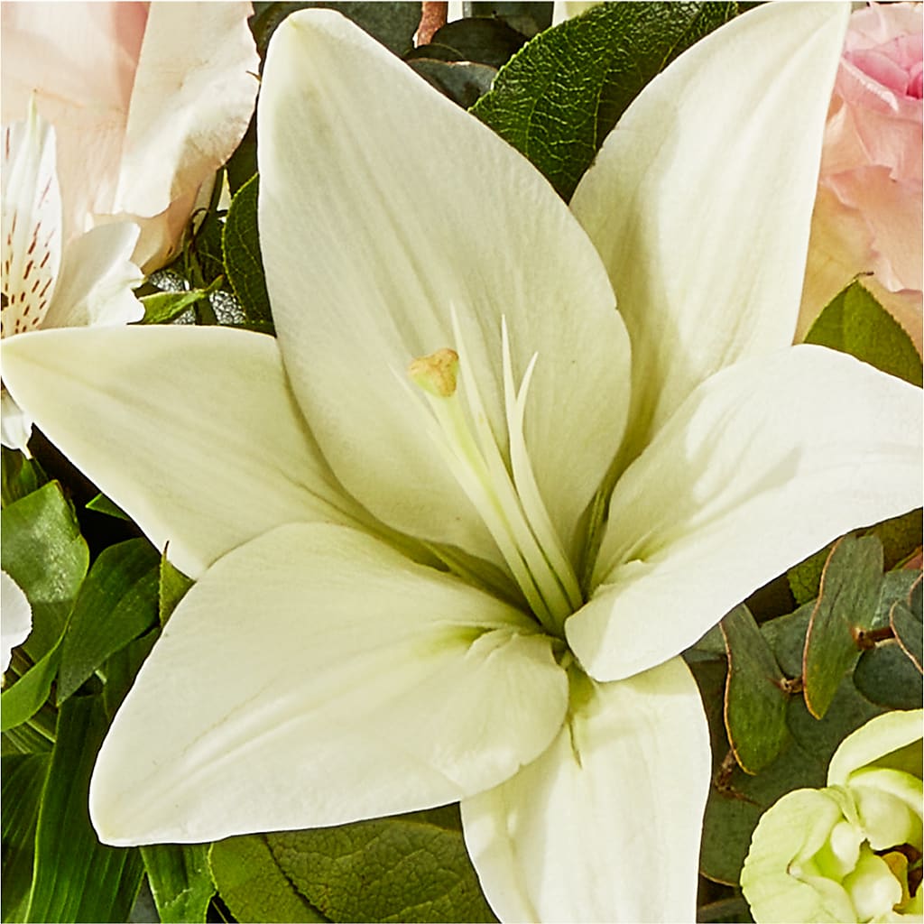 Ballet Slippers Bouquet –  A Touch Of Gracious Living, Salem OH