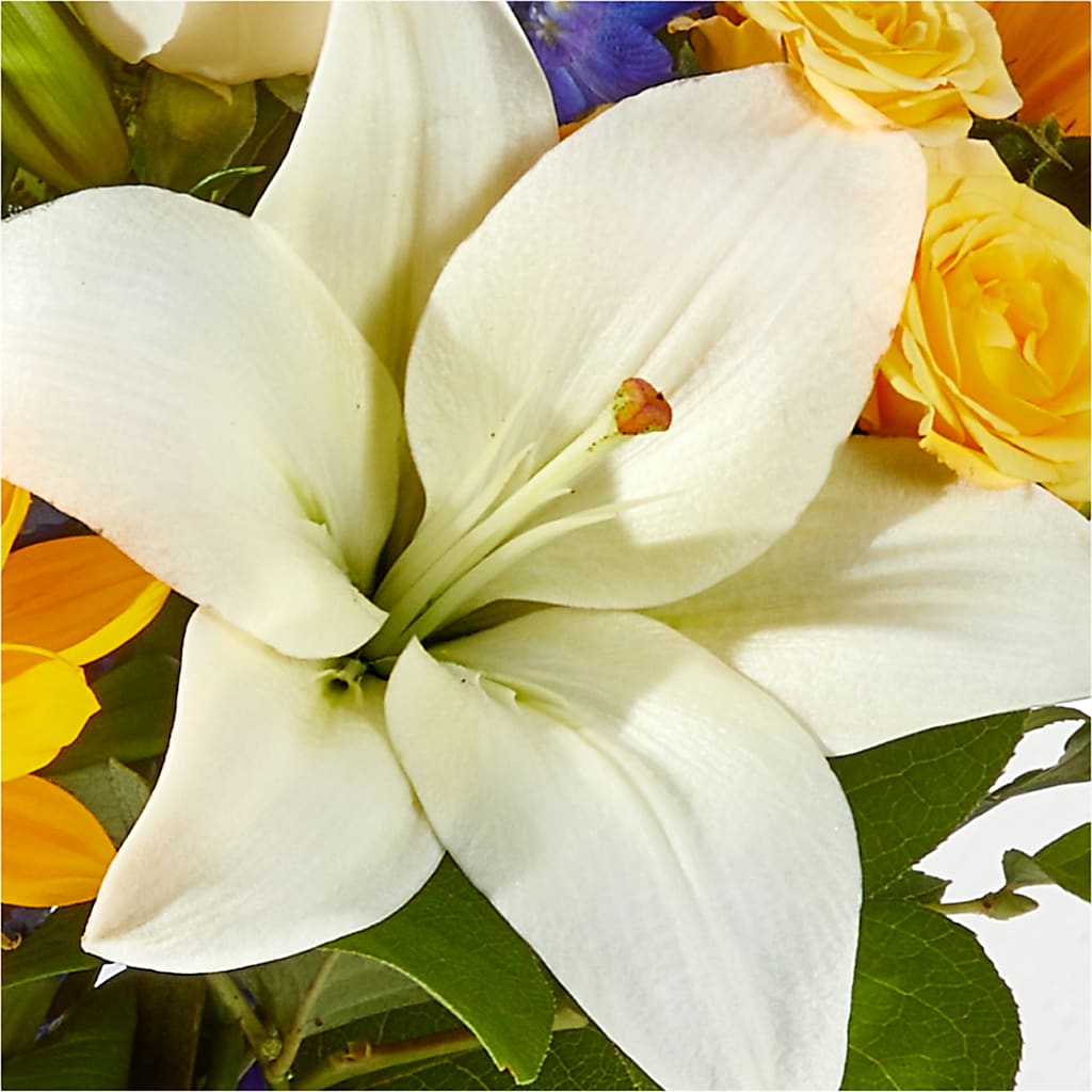 Wonderfully Sunny Bouquet –  A Touch Of Gracious Living, Salem OH