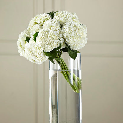 White Hydrangea Hand-Tied Bouquet –  A Touch Of Gracious Living, Salem OH