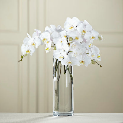 White Phalaenopsis Bouquet –  A Touch Of Gracious Living, Salem OH